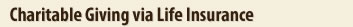 life insurance for children